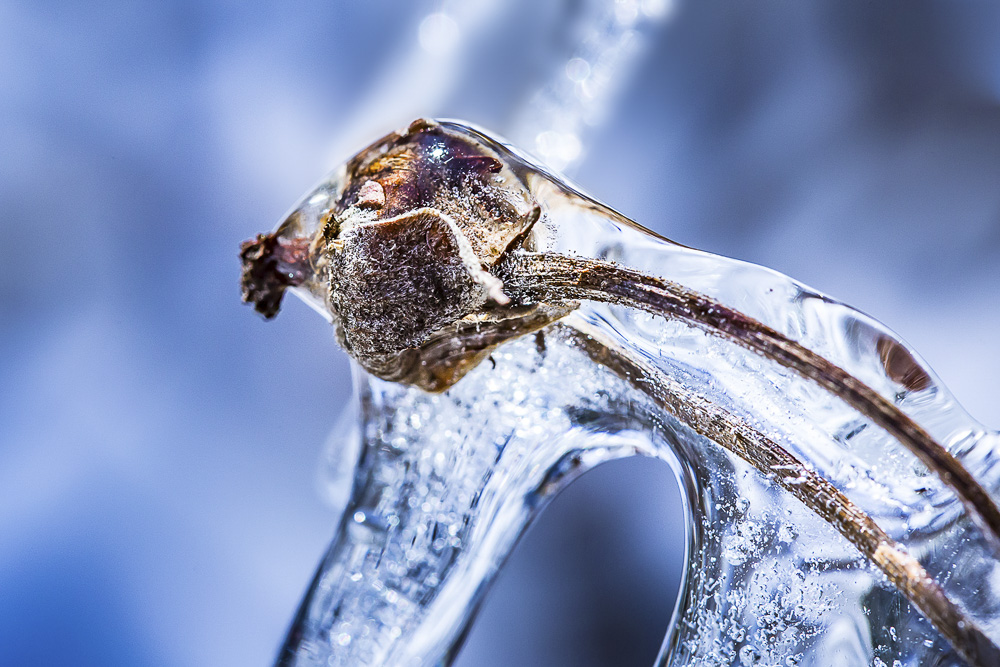 5. Platz Christoph Lindau